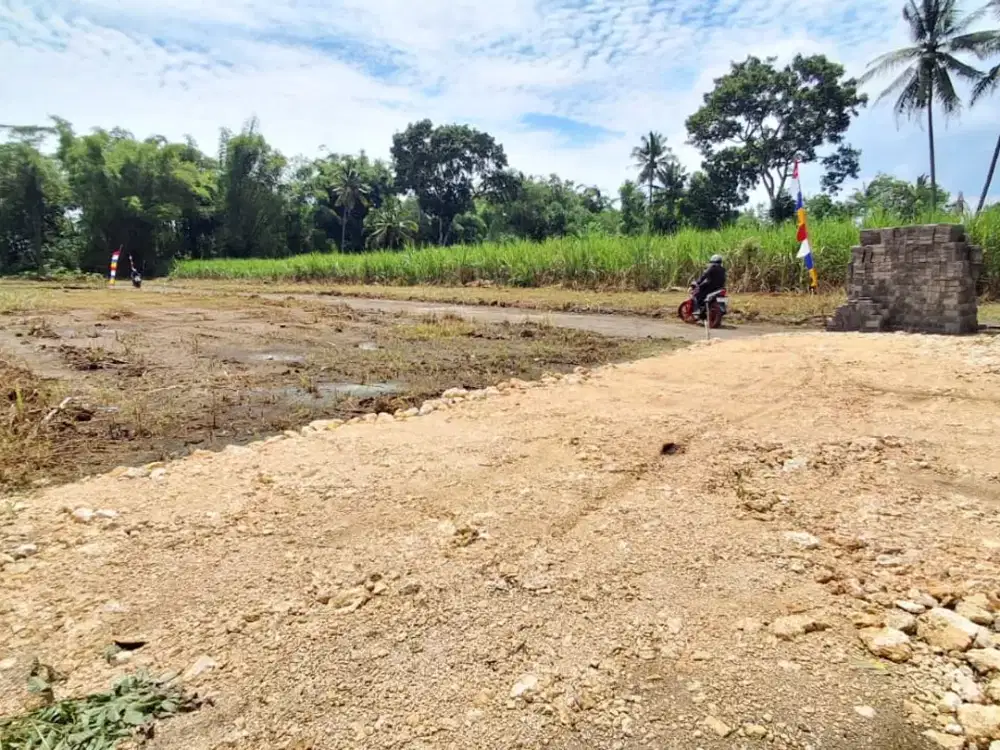 Promo Tanah Kavling Termurah Talok Turen Malang 50 Jt-An Dkt Jl. Raya