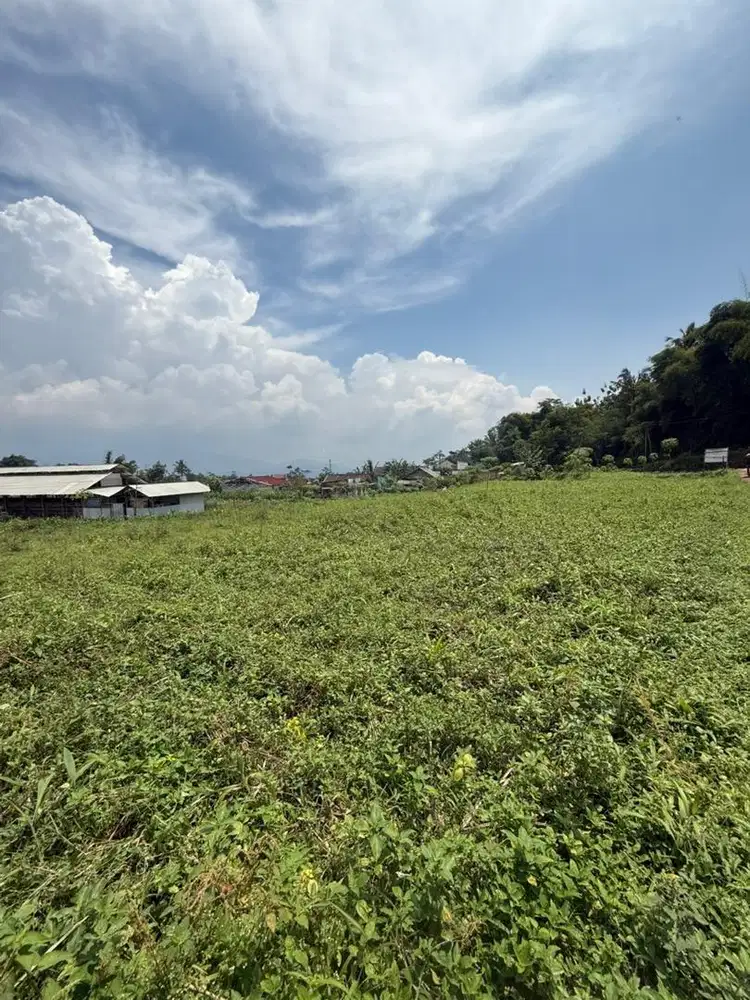 Di jual cepat tanah 90 tumbak.nego sampe deal