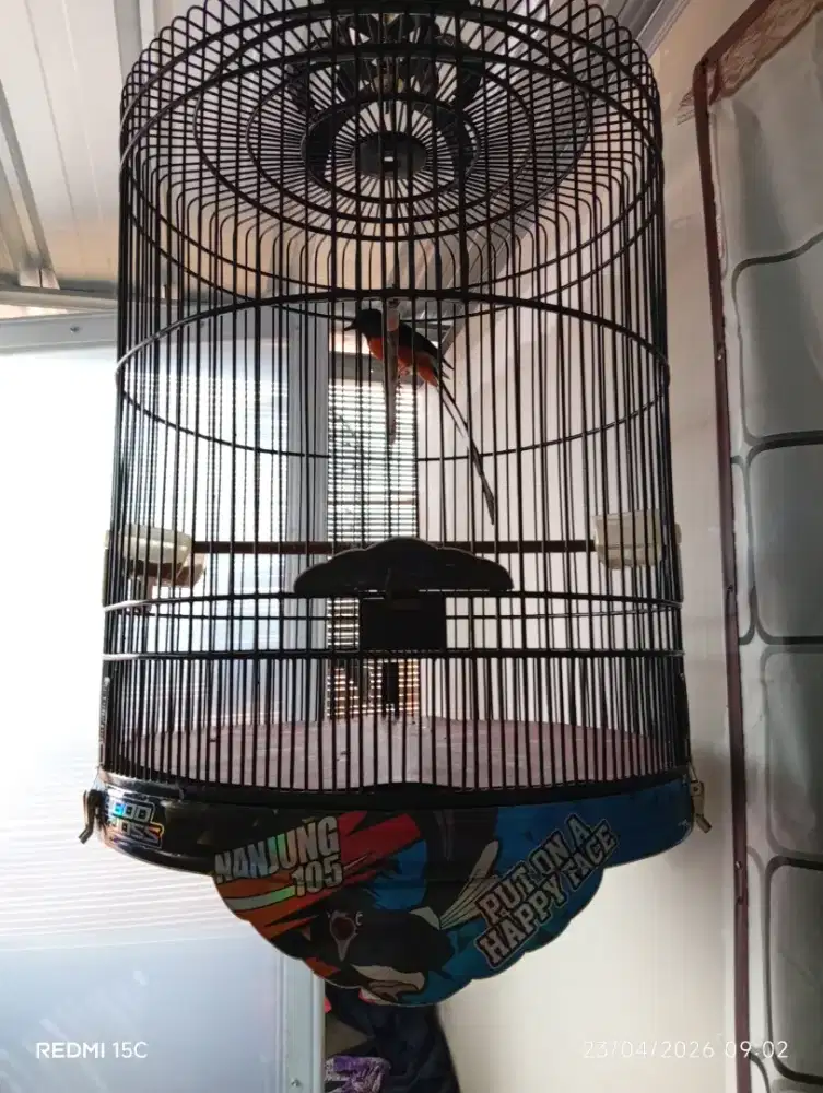 MURAI MEDAN LANJUT RAWATAN