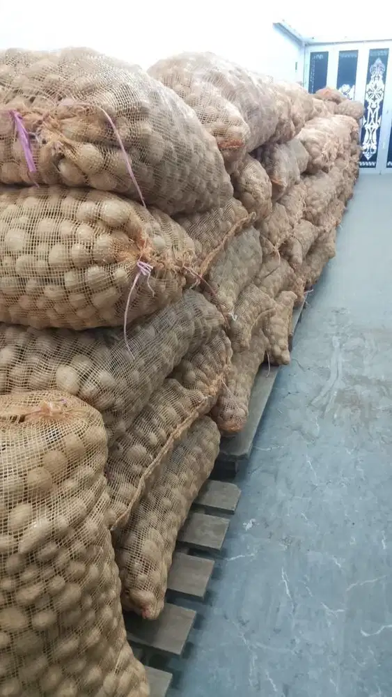 JUAL KENTANG UNTUK RESTO / CATERING SIAP KIRIM