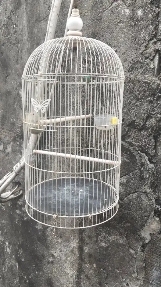 Jual kandang burung kenari
