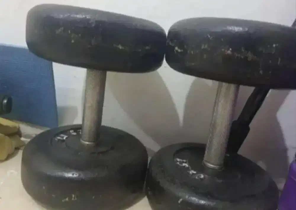 Barbell 50kg sepasang Besi padat
