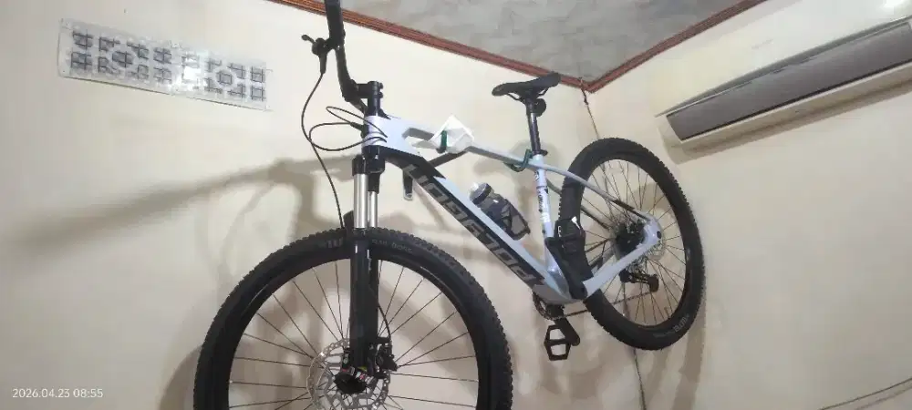 POLYGON Synclin 2 CARBON