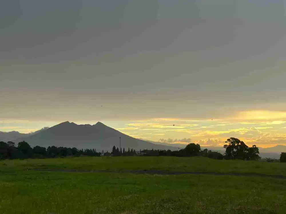 Tanah Puncak Best View Dekat Jalan Raya Utama Potensial