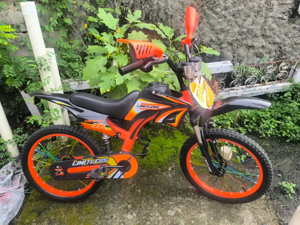 Sepeda anak trail pribadi BU