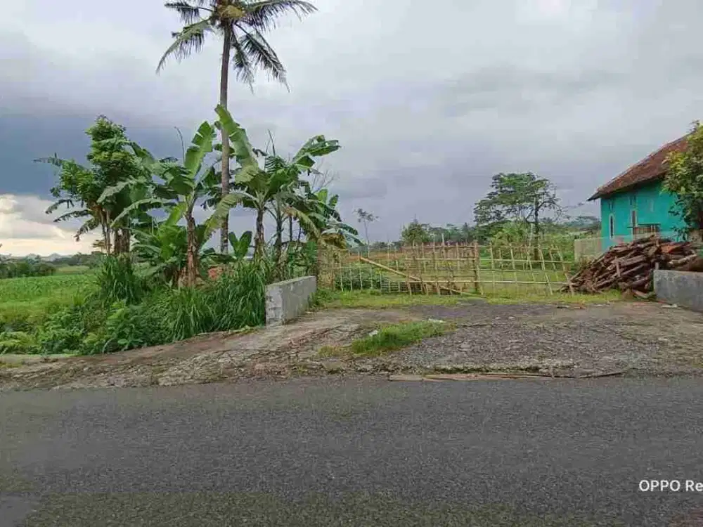 Tanah kosong view gunung Slamet, asri jln raya Baturaden Timur Sumbang Banyumas