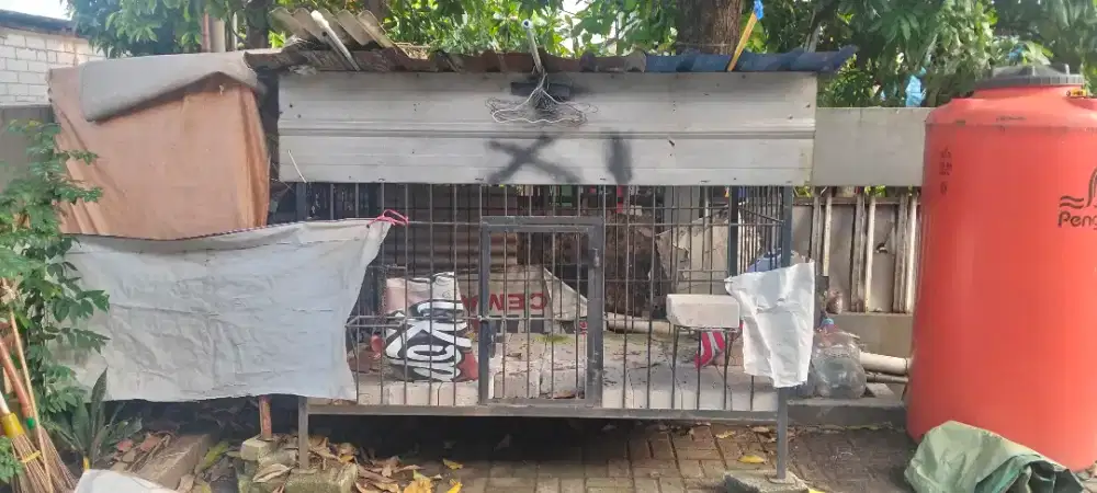 Kandang anjing ujuran besar..kondisi kokoh