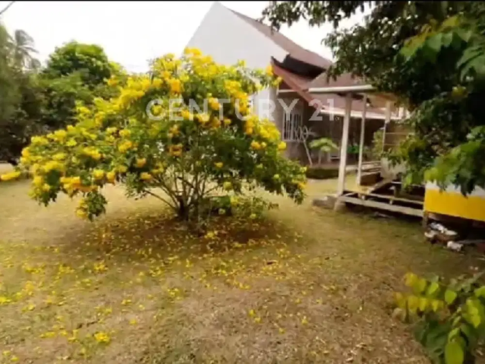 Rumah Satu Lantai Di Pariaman  Tengah Padang