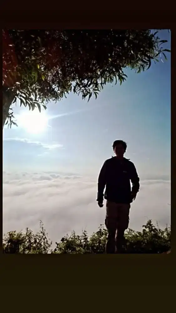 nyari kerjaan seceptnya