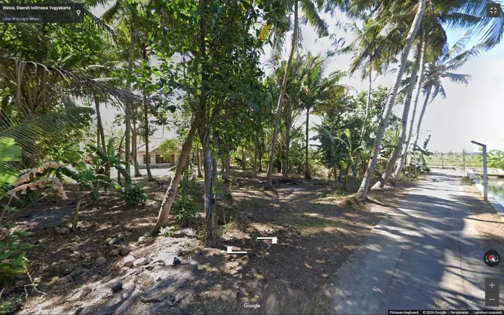 DIJUAL TANAH PEKARANGAN DI KULWARU KULON PROGO DENGAN VIEW PERSAWAHAN