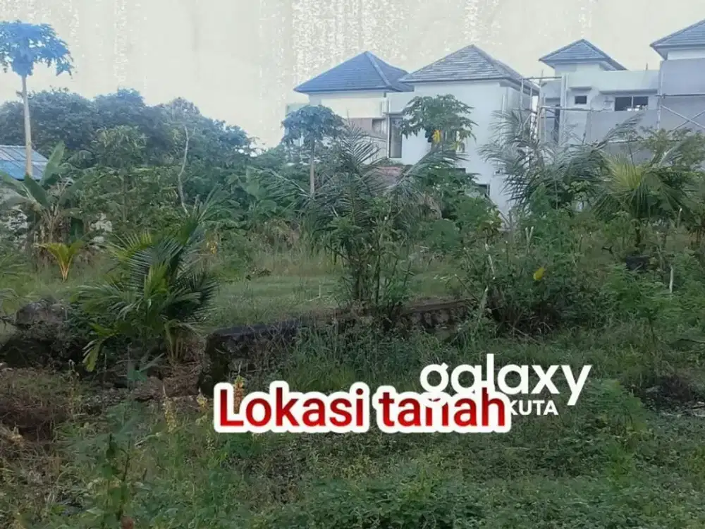 DIJUAL TANAH KAMPIAL BADUNG