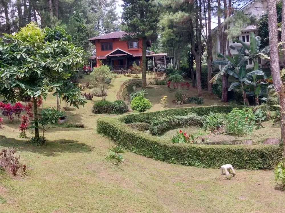 Villa Cilember, Megamendung, Cisarua, untuk liburan dan investasi lokasi asri sejuk tenang