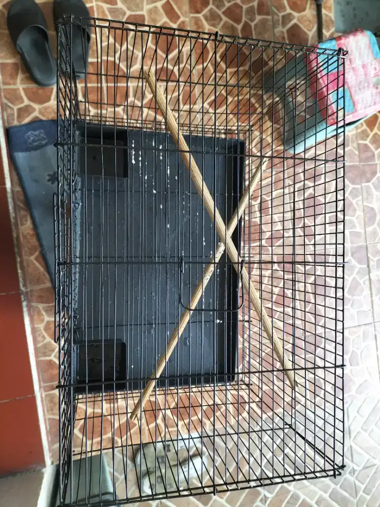 Sangkar pok kenari dari besi hitam