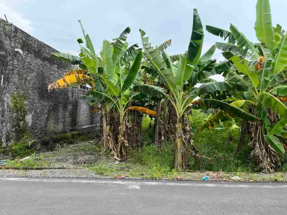 Tanah Pekarangan Murah Dalam Kota Solo Ideal Strategis dekat KPU