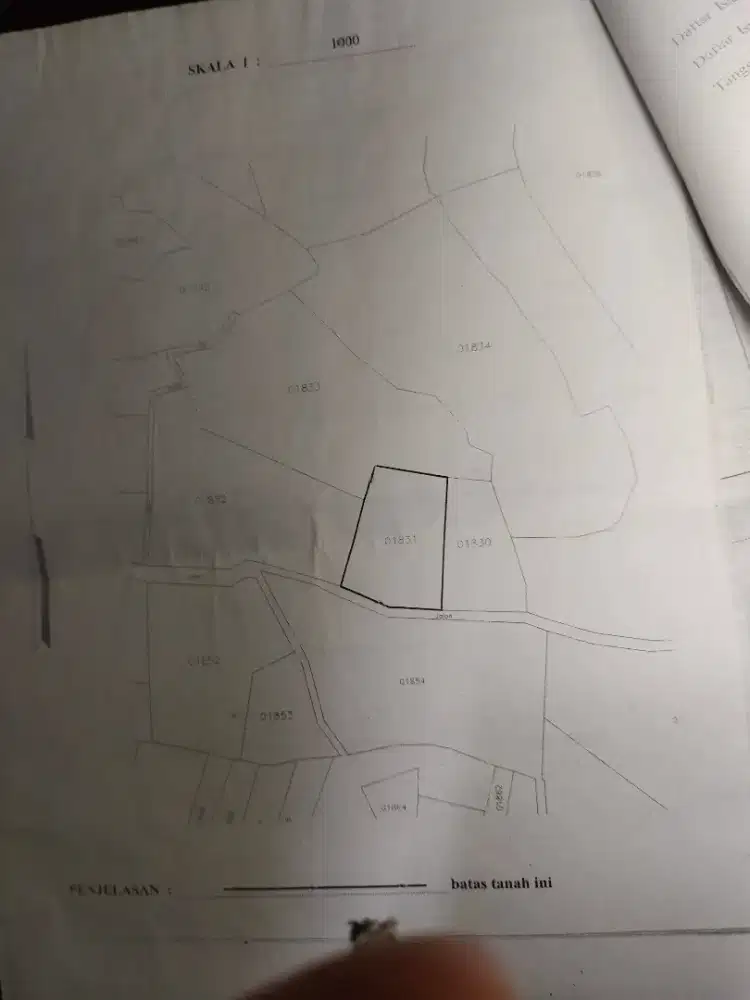 Dijual kebun durian murah