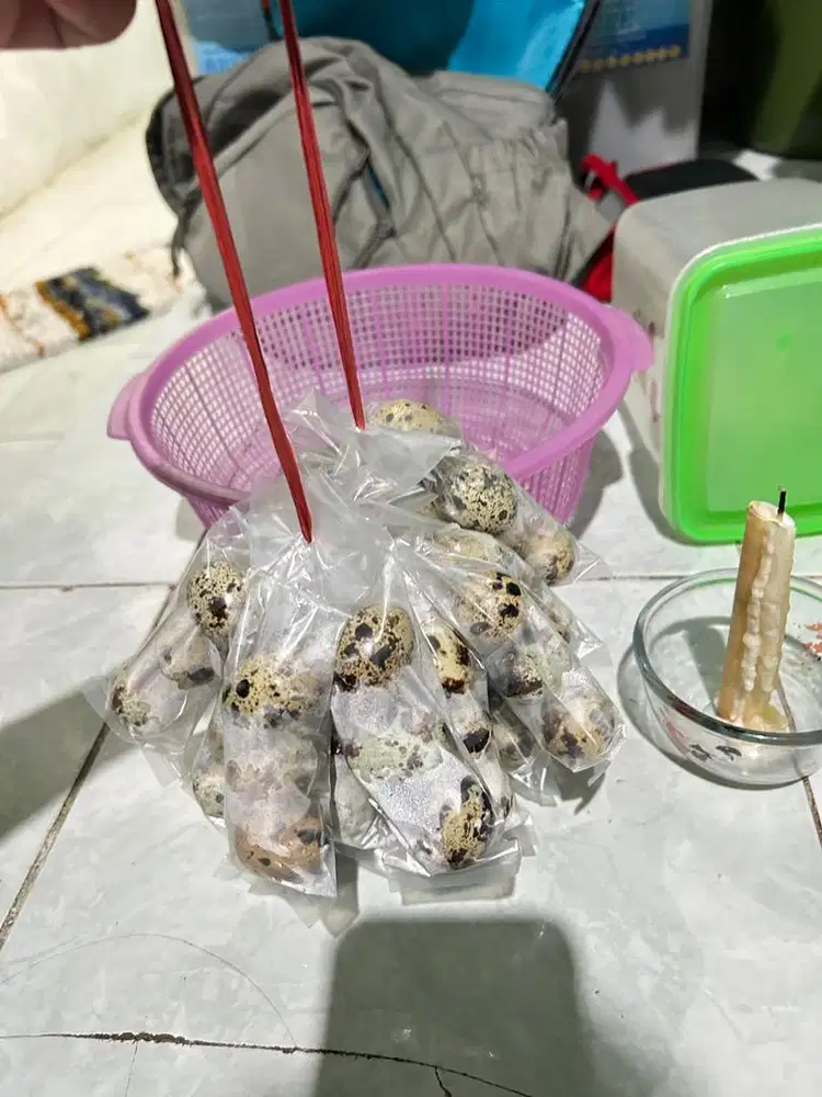 Titip jual telur puyuh