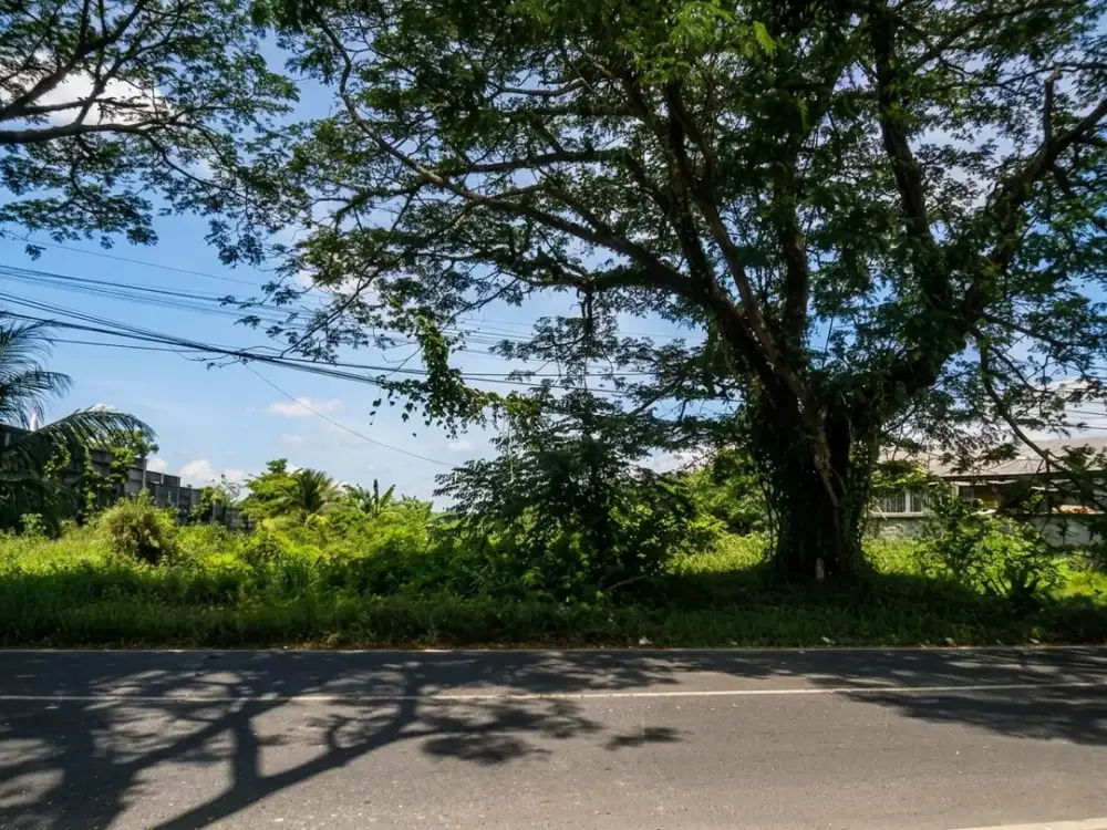 TANAH LUAS 6.000 m² SIAP BANGUN – INVESTASI MENJANJIKAN!