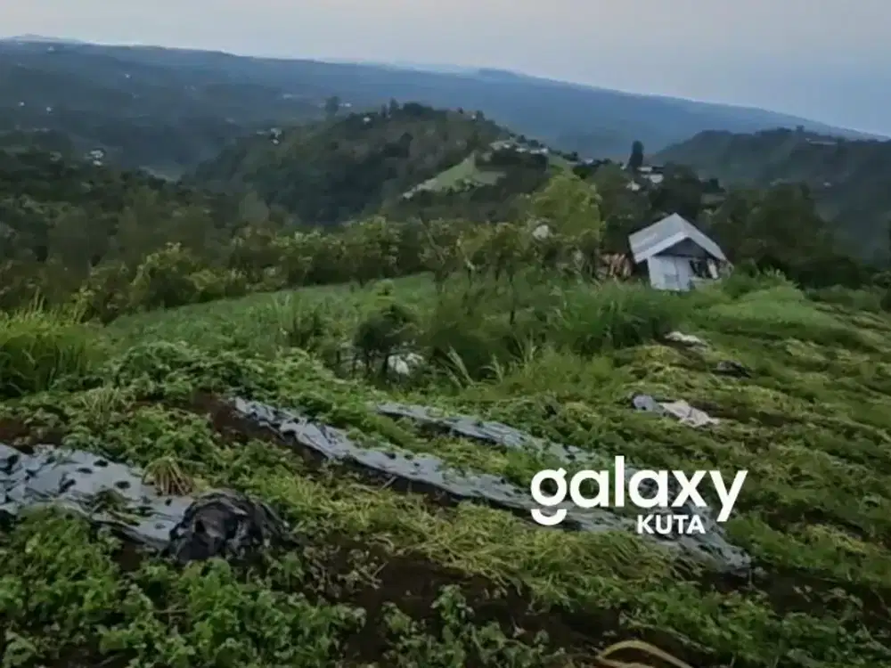 DIJUAL TANAH VIEW GUNUNG BATUR DI KINTAMANI BANGLI