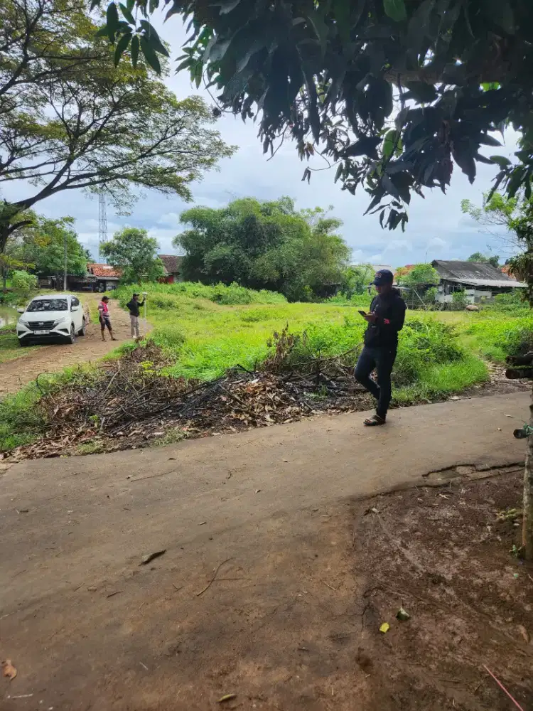 Tanah pinggir jalan raya