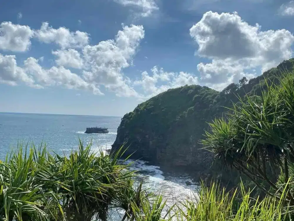 jual tanah pantai jogan pantai selatan Jogja