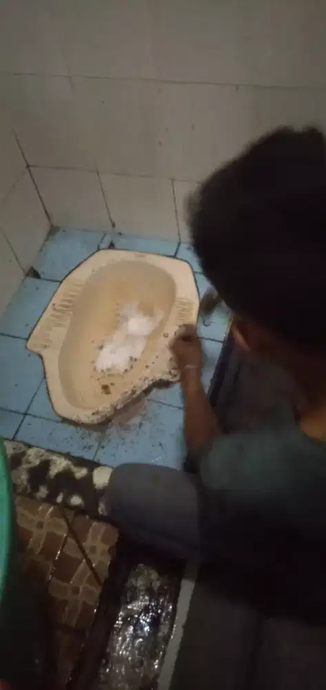 Sedot Wc dan saluran sumbat