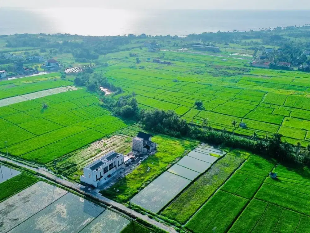 Land For Lease Prime Location At Pantai Kedungu Tabanan Bali. Rice Field View. Cloase To the Beach.