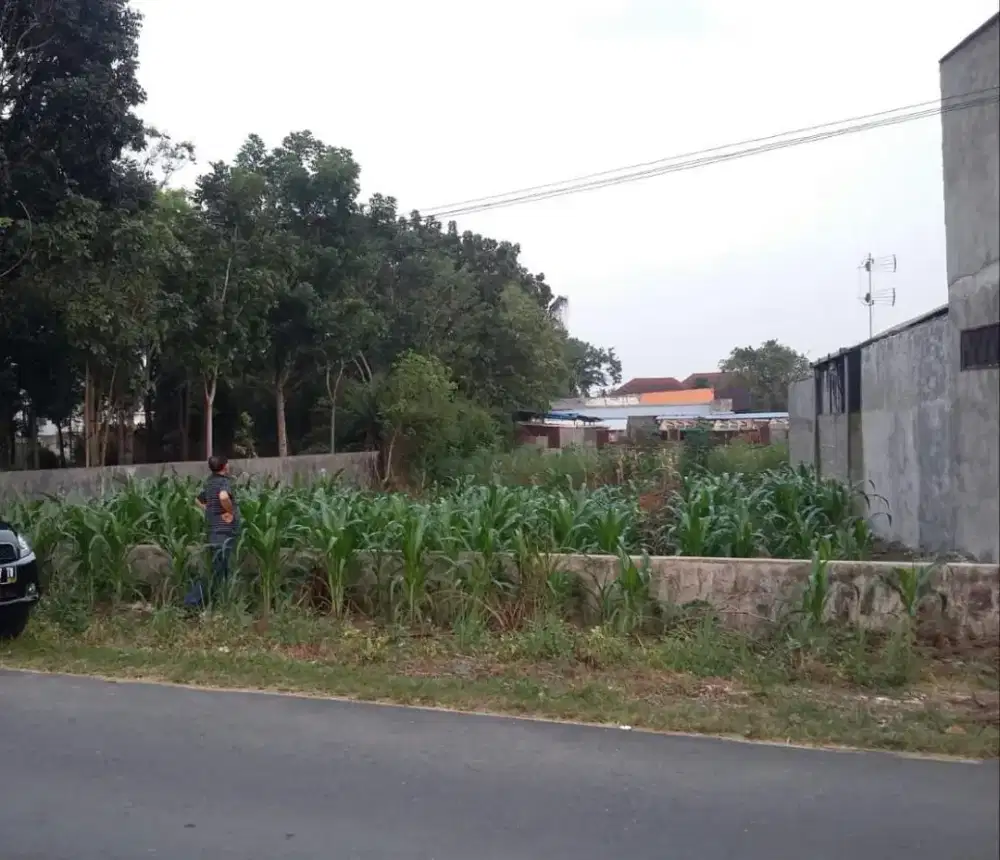 Dijual Tanah di Lokasi Strategis dan Nyaman