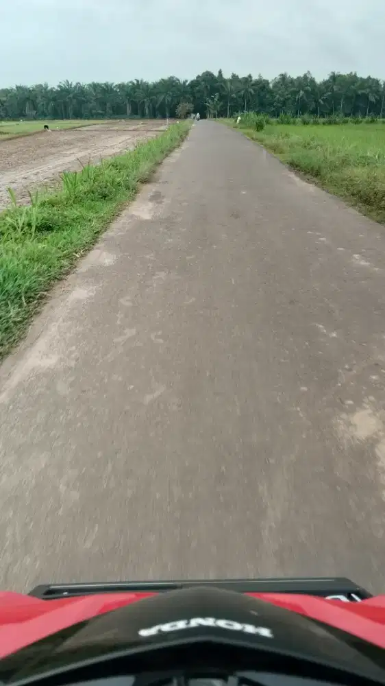 Cari kerja buat hari minggu aja, bersih²atau apa aja