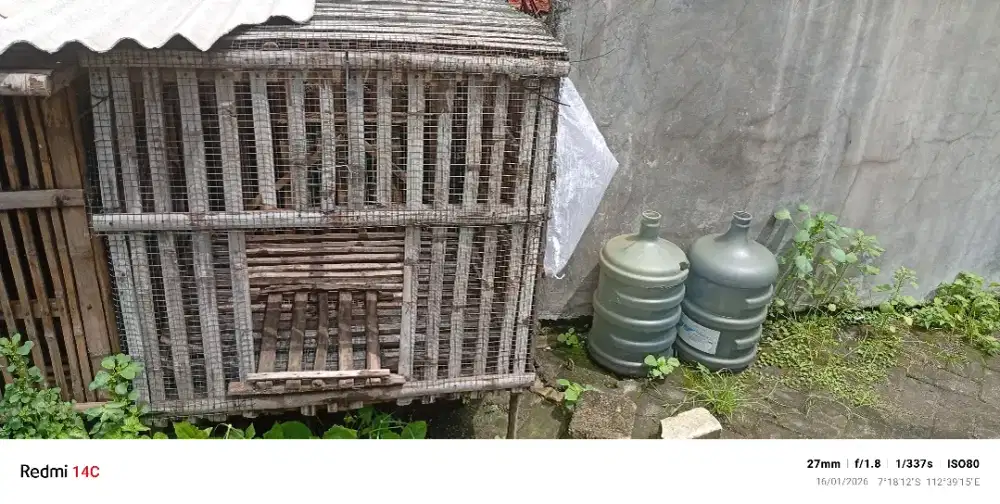 Kandang ayam bekas