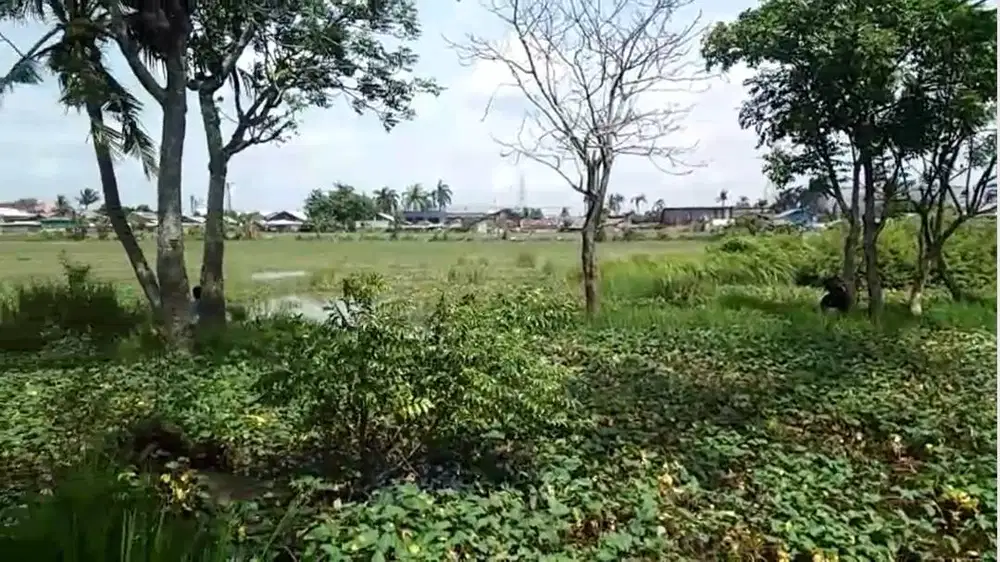 Lahan Strategis 1,7 Hektar di Jantung Cikarang Timur – Harga Terbaik