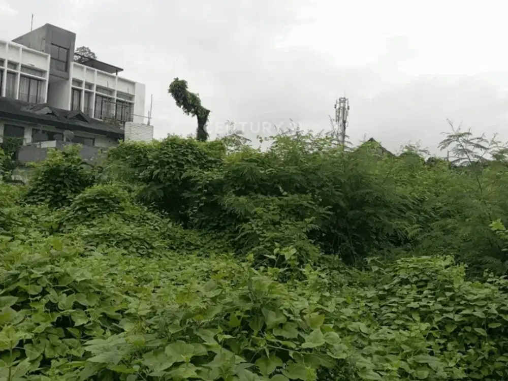 Disewakan Tanah Luas Di Jalan Besar Bendungan Hilir Jakarta Pusat