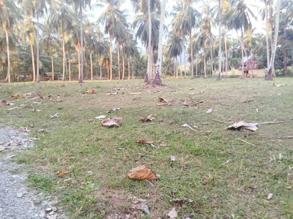 Dijual tanah dengan lokasi strategis. Harga masih bisa dinegosiasikan.