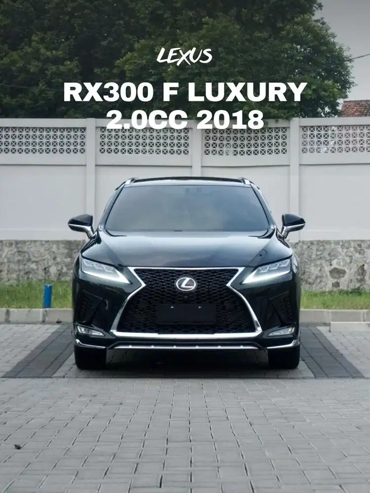Lexus RX300 Luxury 2018