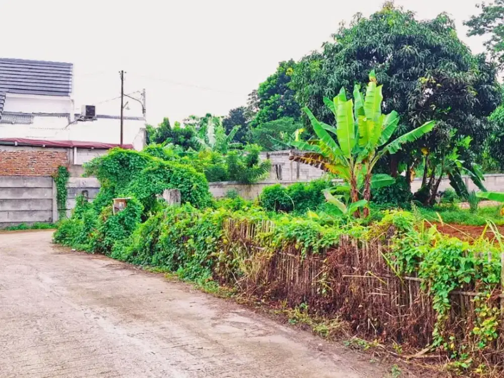 Murah 2 Jt-an, Tanah Kavling Dekat The Park Sawangan, SHM