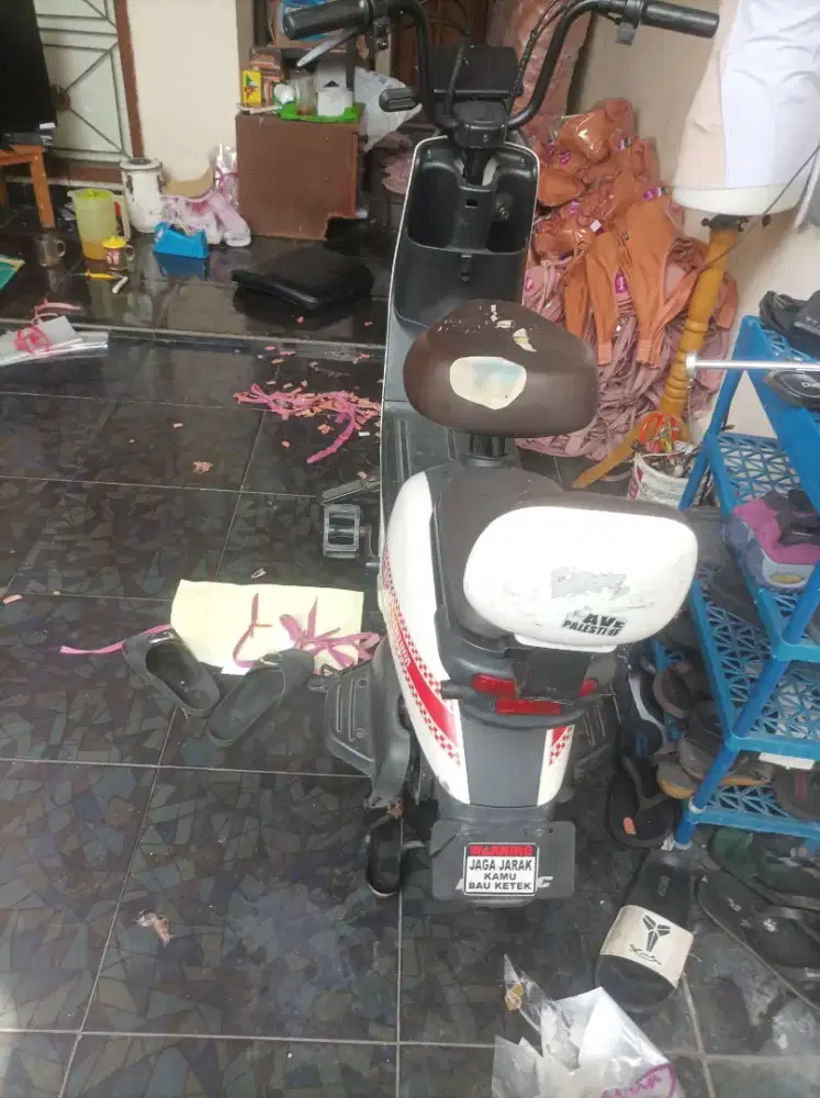 Sepeda listrik pasifik