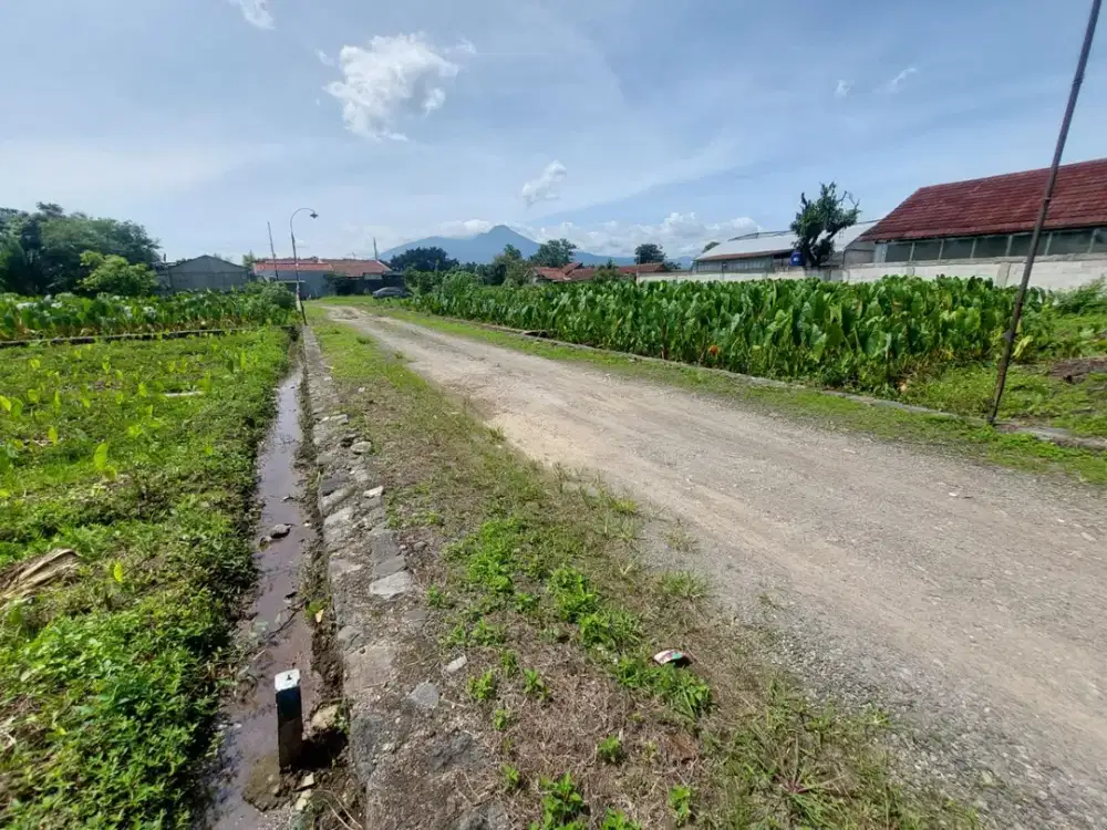 10 Menit Kampus IPB, Tanah Kavling SHM Dalam Perumahan Kota Bogor