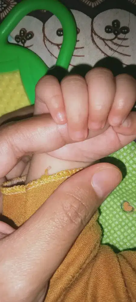 Cari kerjaan art yang bisa pulang pergi