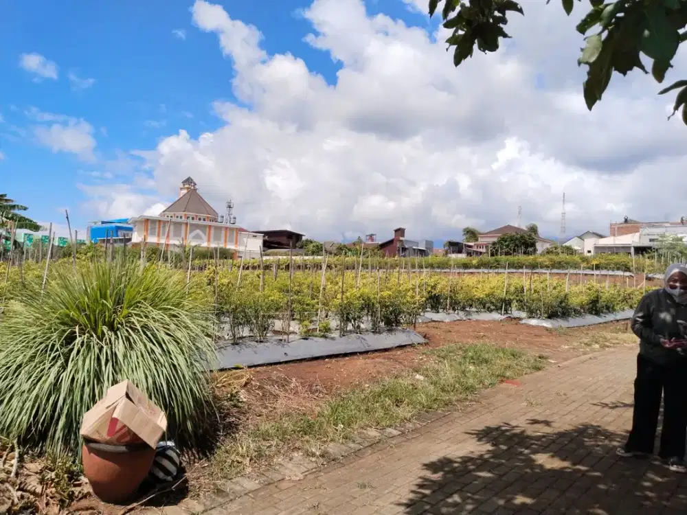 Promo Tanah Kota Malang, 7 Menit Kampus Ternama UB, UMM, UIN