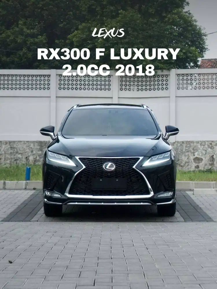 Lexus RX300 Luxury 2018