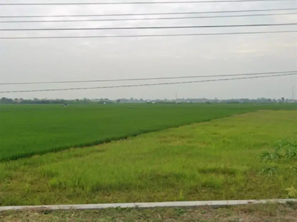 lahan industri Pemalang -Jateng Lokasi strategis +/- 15 menit ke exit toll Pemalang