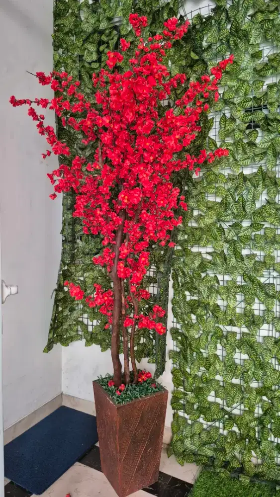 Bunga meihua sakura blossom tinggi 180cm