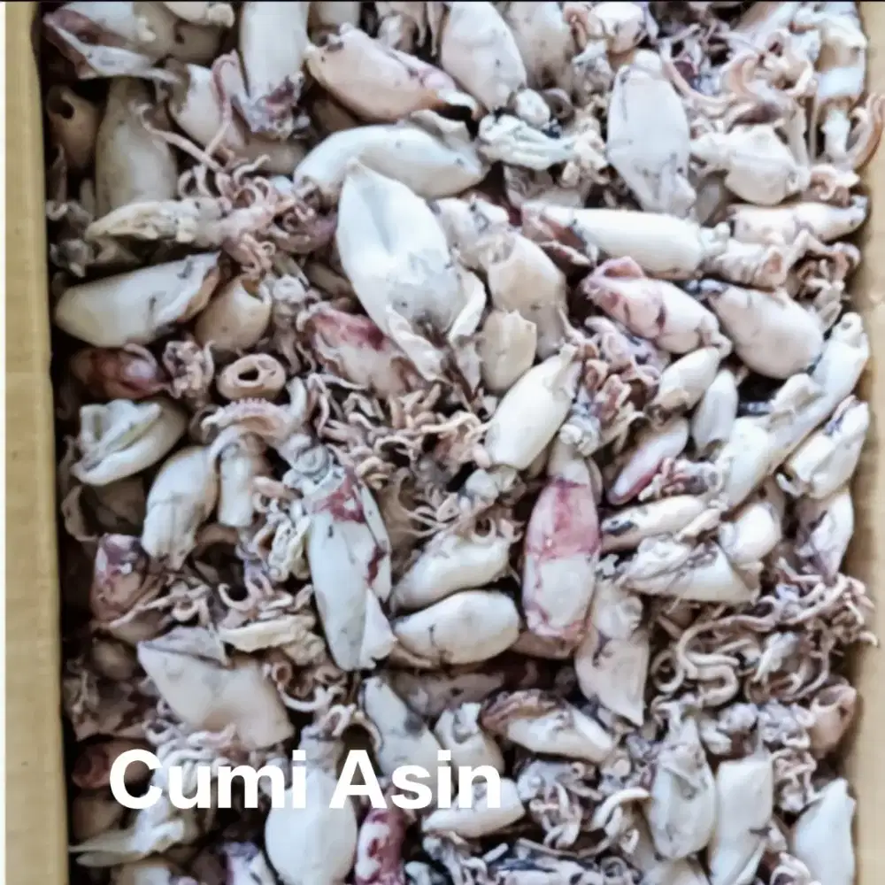 Suplier ikan asin termurah dan fresh