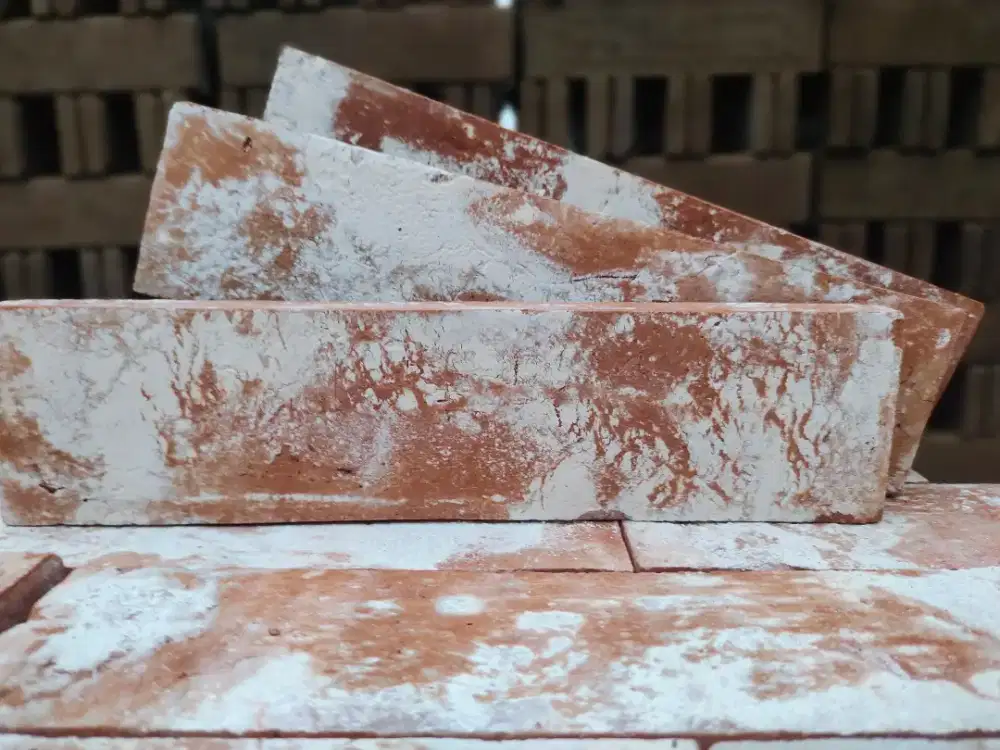 Bata Tempel Vintage²⁵