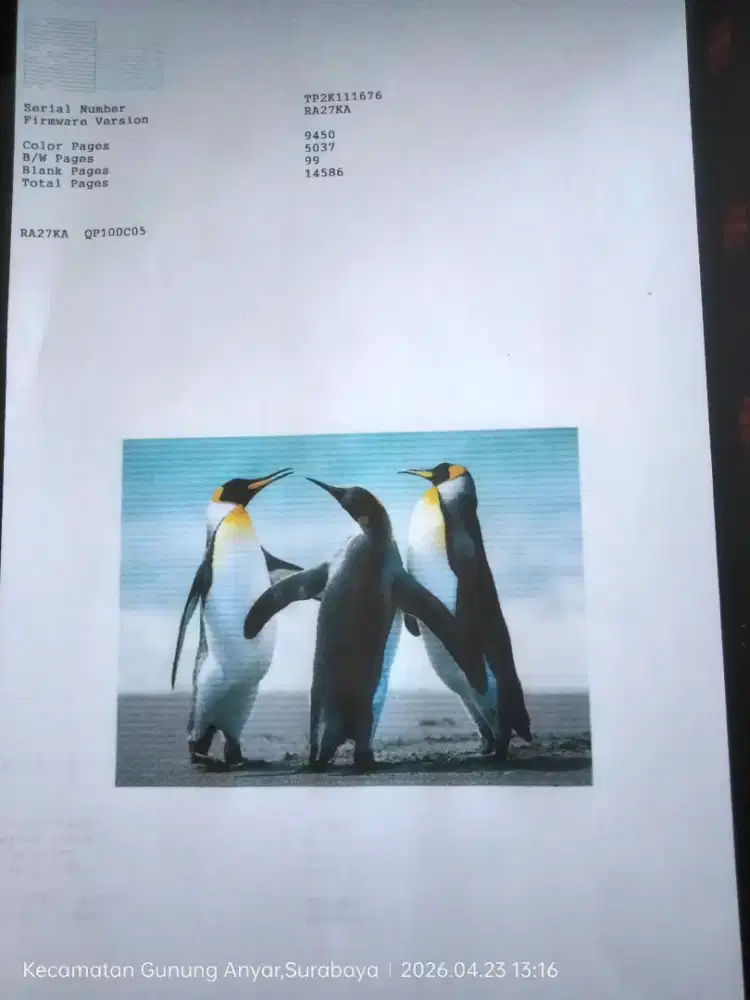 Printer Epson L120 Normal