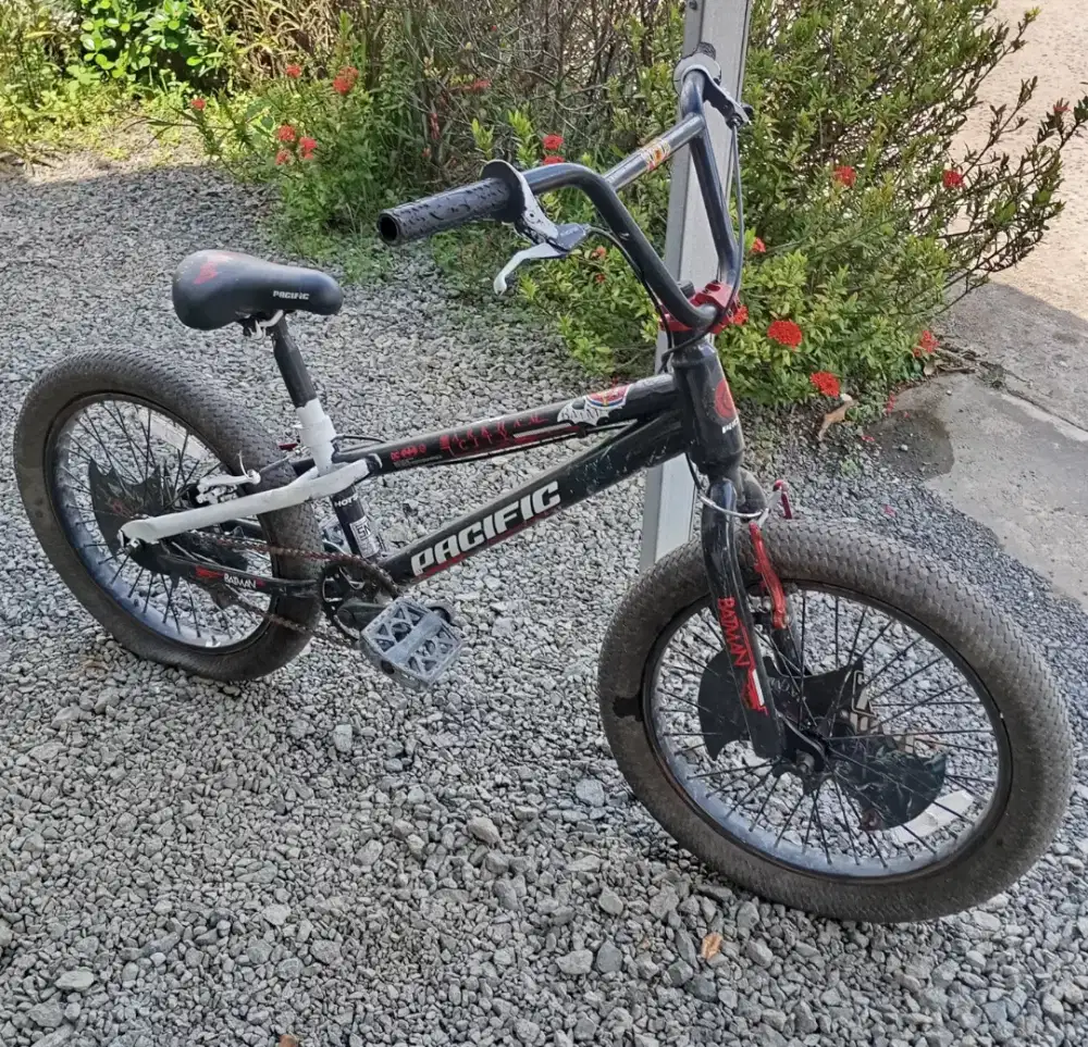 Sepeda Pacifik edisi Batman