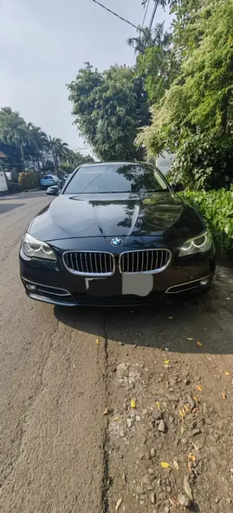 BMW 528i Luxury 2015 Hitam