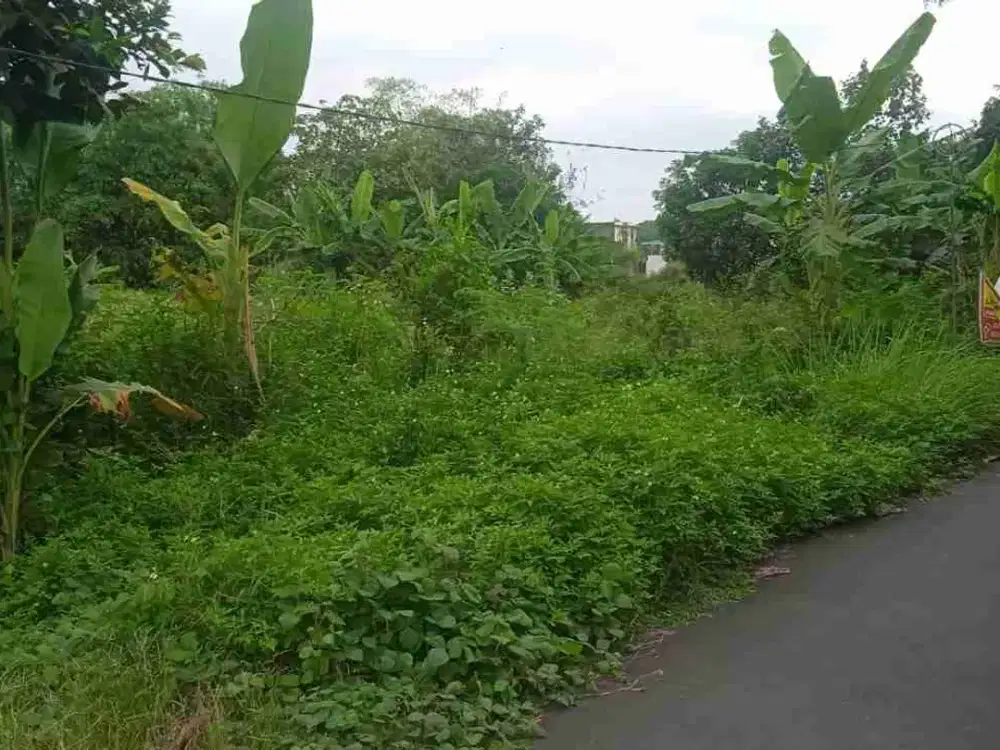 Dijual pekarangan timur pasar bekonang sukoharjo