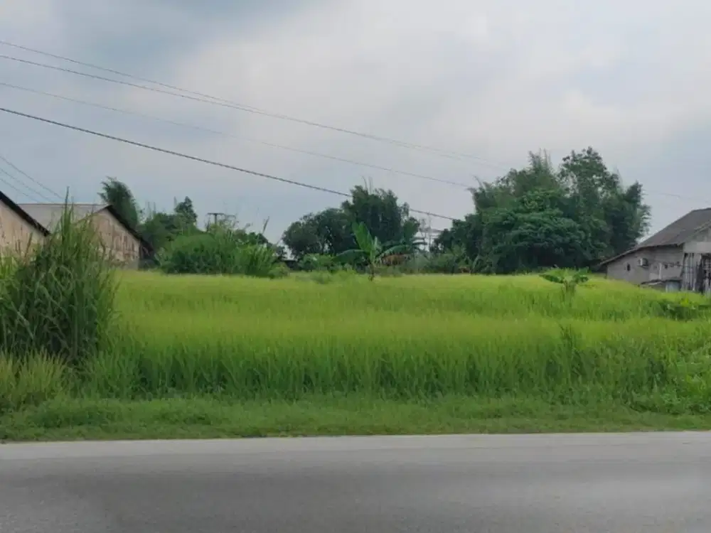 Lahan Siap Kembang di Citeras – Luas & Potensial