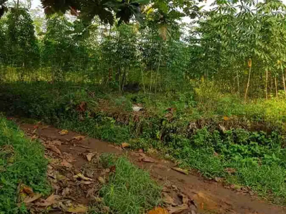 Tanah Di Tajur Halang