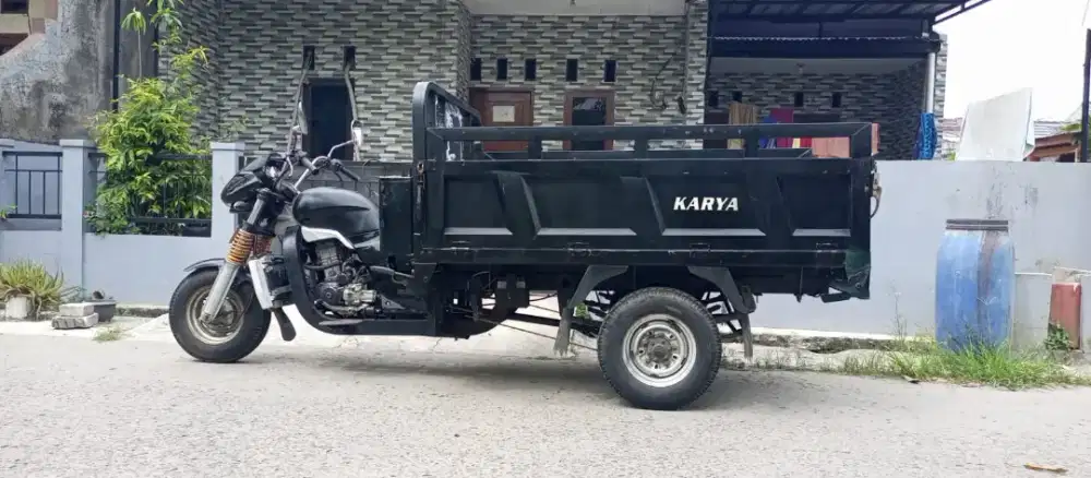 Viar roda tiga 300 CC